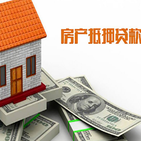 商南贷款公司新渝启服怎么选择